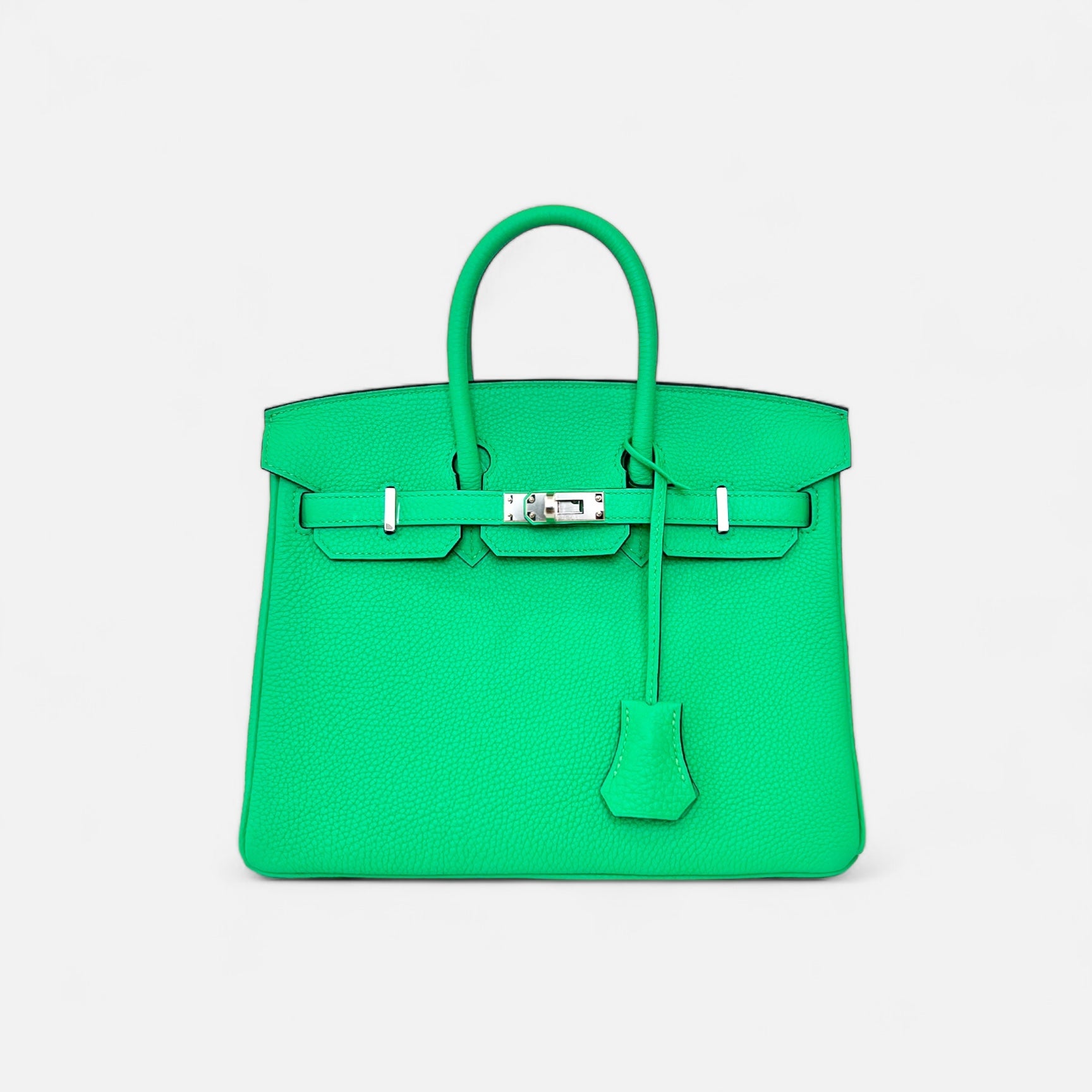 Hermès Vert Comics Togo Birkin 25 Palladium Hardware